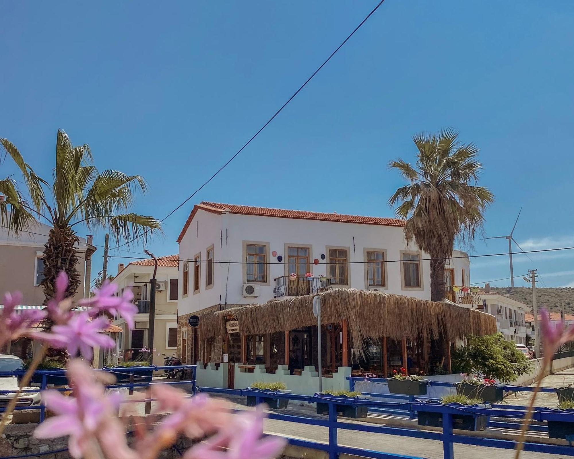Cesme Puerhayal Pansiyon Экстерьер фото